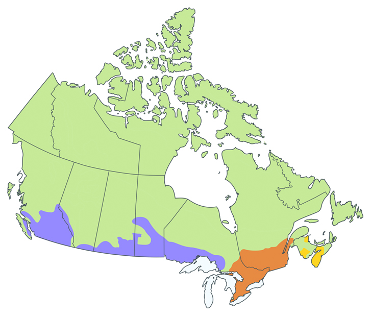 Painted Turtle Distribution Map