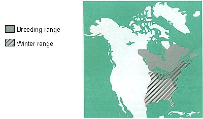 Map of breeding and winter ranges