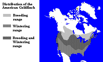 Distribution of the American Goldfinch