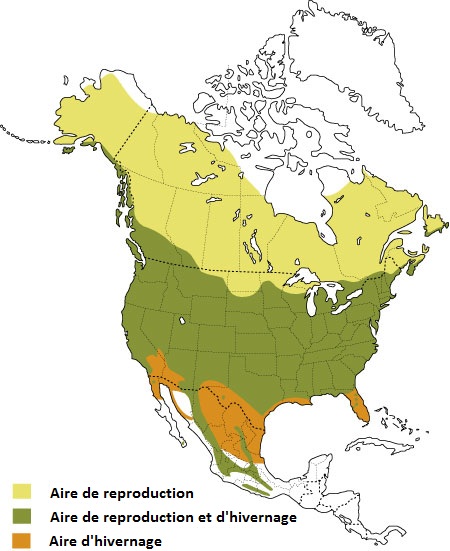 Aire de répartition du Merle d'Amérique