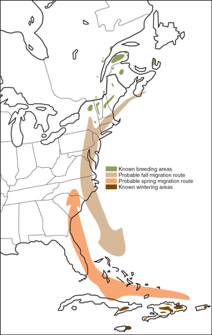 Map of breeding and migration patterns for the Bicknell’s Thrush
