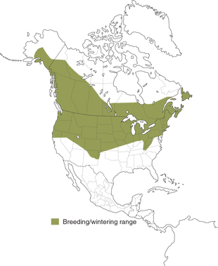 Map of breeding and wintering range