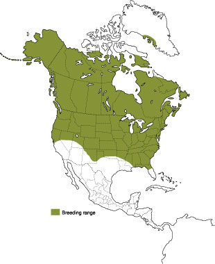 Canada Goose Breeding Range