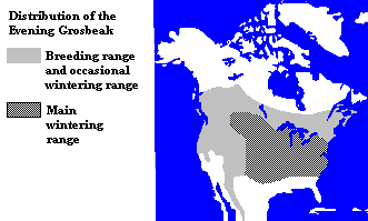 Distribution of Evening Grosbeak