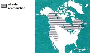 Répartition du Mésangeai du Canada