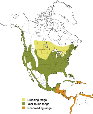 Distribution of the Great Blue Heron