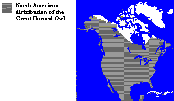 North American distribution of the Great Horned Owl