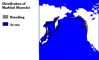 Distribution of the Marbled Murrelet