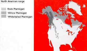 Ptarmigan Range in North America