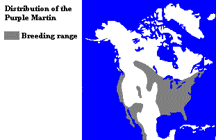 Distribution of the Purple Martin