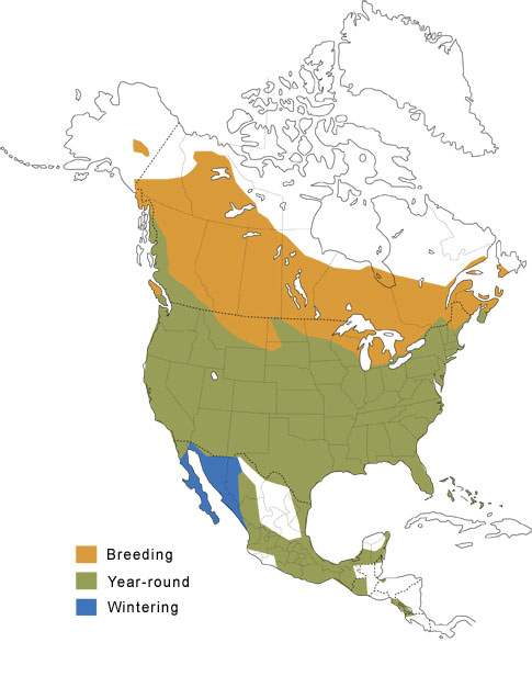 Ranges for Red-winged Blackbirds