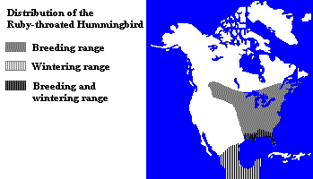 Distribution of the Ruby-throated Hummingbird