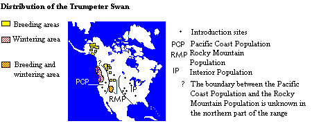 Distribution of the Trumpeter Swan