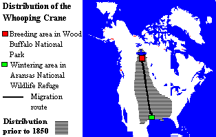 Distribution of the Whooping Crane