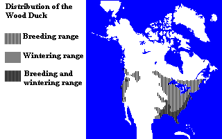 Distribution of Wood Duck