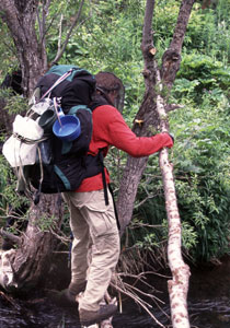 Person walking in forest