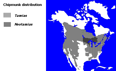 Distribution of the Chipmunk