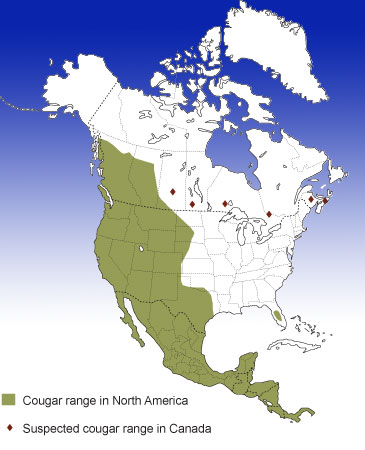 north american cougar range