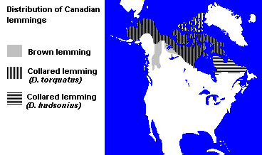 Distribution of Lemmings