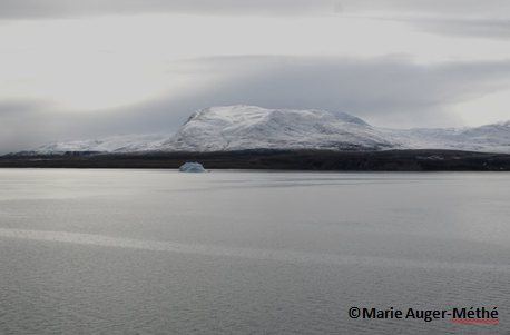 Fjords in Baffin Island