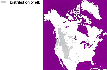 Distributon of North American Elk