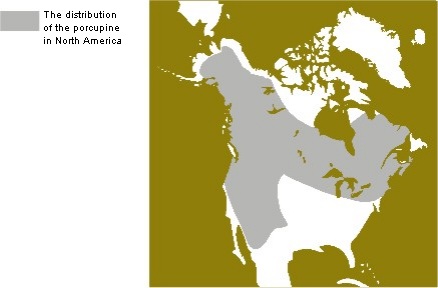 Distribution of the Porcupine