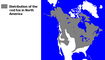 Distribution of the Red Fox