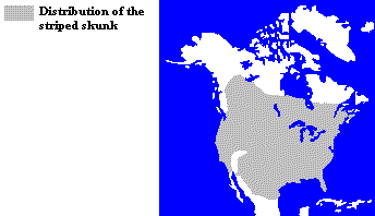 Distribution of the Striped Skunk