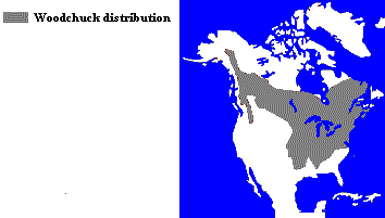 Distribution of the Woodchuck