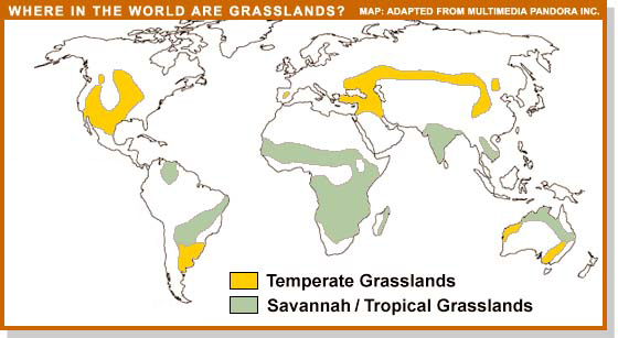 Locaton of Grasslands