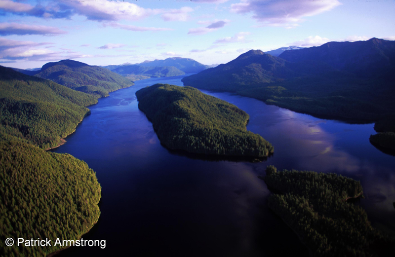 La forêt pluviale côtière du Canada