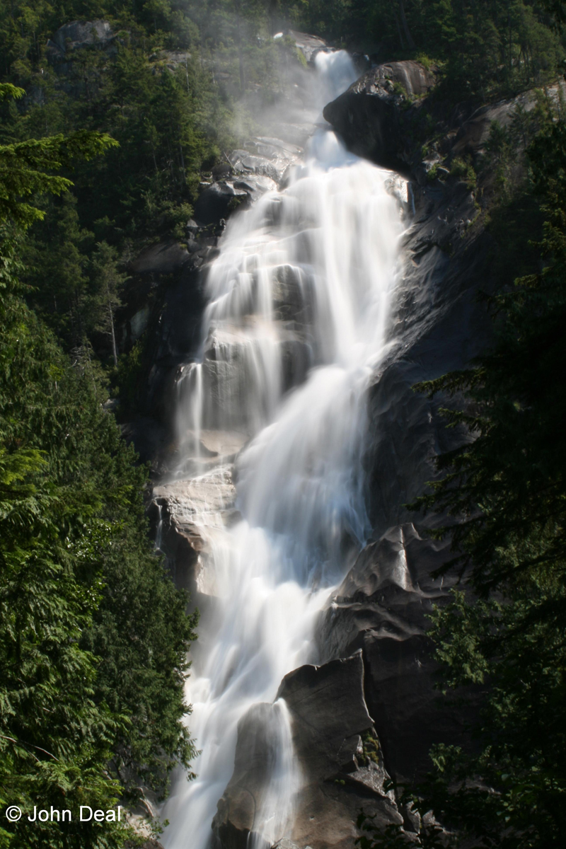 La forêt pluviale côtière du Canada