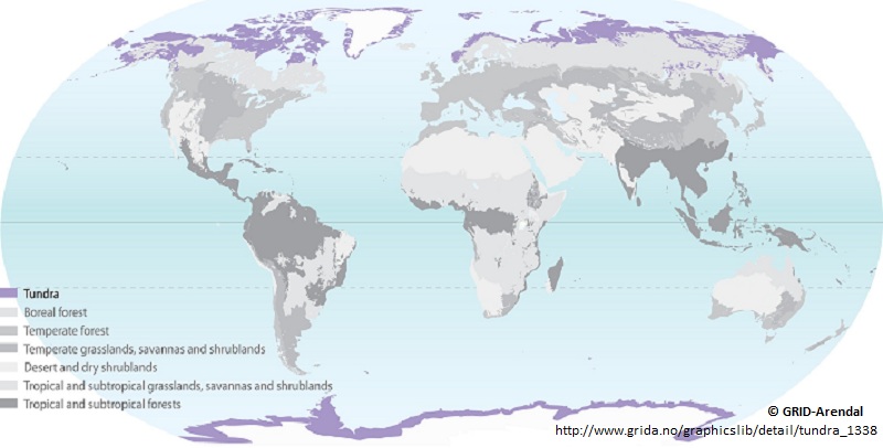 Map of biomes of the world with Arctic, Antarctic and Alpine tundra