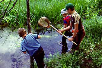 Children playing in wetlands