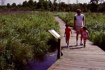 Family walking through Marsh lands on boardwalk
