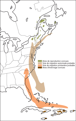 Répartition de la Grive de Bicknell