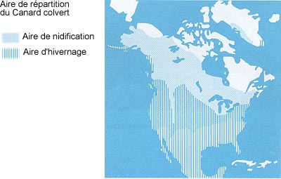 La répartition du Canard colvert