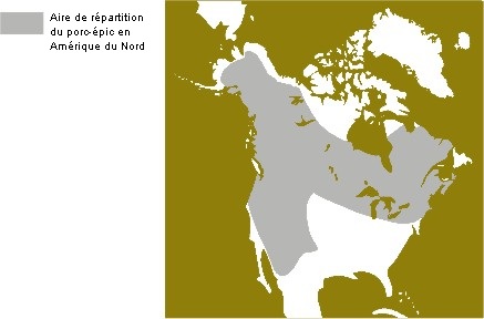 La répartition du porc-épic