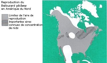 La répartition du Balbuzard pêcheur