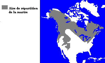 La répartition de la martre