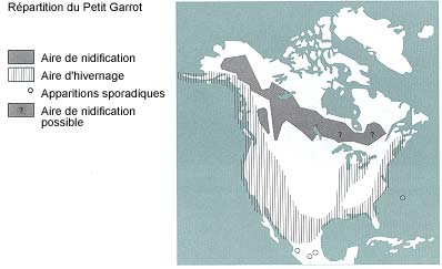 La répartition du Petit Garrot