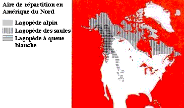 La répartition des lagopèdes