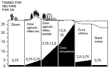 Des écosystèmes productifs 