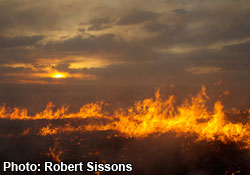 Feu dans les Prairies