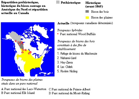 La r&eacute;partition du bison