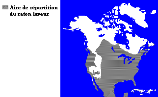 La répartition du raton laveur