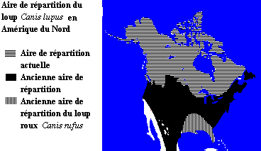 La répartition du loup