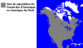 La répartition du Grand-duc d’Amérique