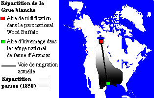 La répartition de la Grue blanche