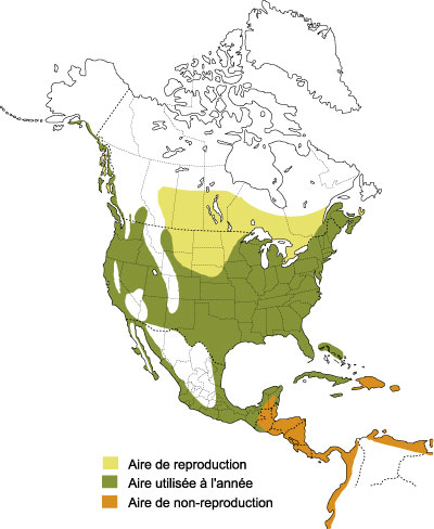 Répartition du Grand Héron